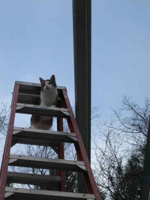 IMG-1284.jpg