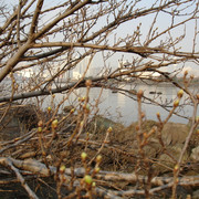 2010-03-16-030
