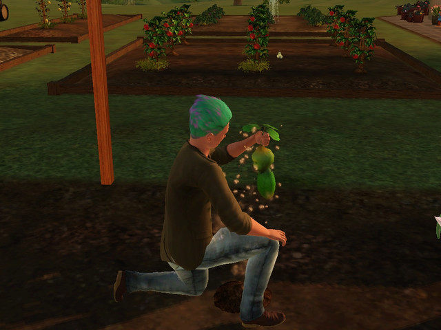 Screenshot-107
