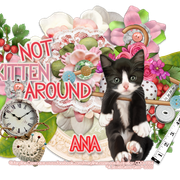 ana-LE-mctag