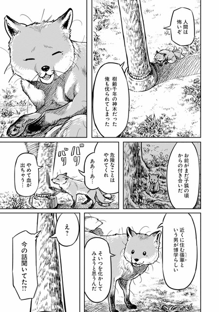 DLRAW-net-se01007