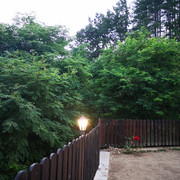 IMG-20230721-205225