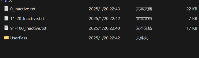 2025-01-21-135255