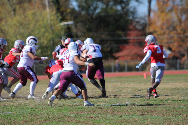 IMG-1439.jpg