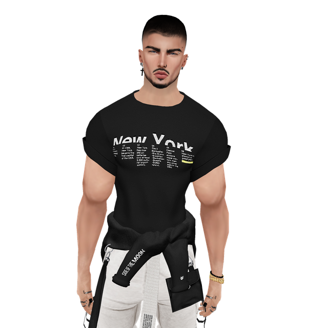 hi-Res-No-Bg13.png