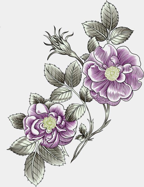 shutterstock-2384243933.jpg