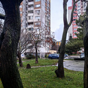 IMG-20241224-161748