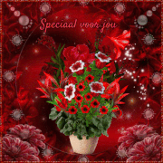 picmix-com-10839149.gif