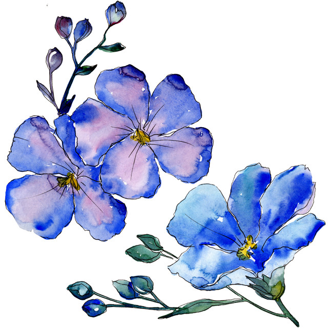 shutterstock-1192466605.jpg