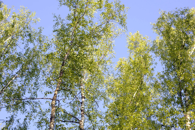 DSC3541.jpg