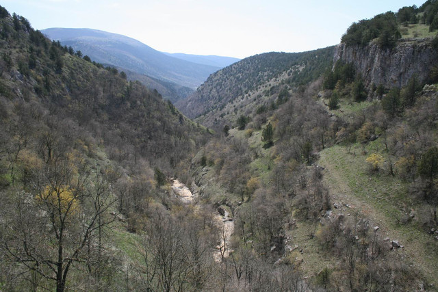 IMG-0071