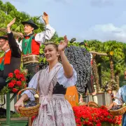 traubenfest-meran