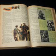 IMG-3831