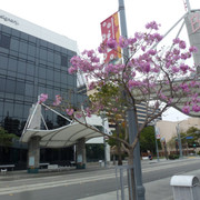 P1090959