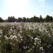 DSC00083