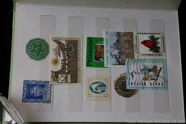 IMG-6818.jpg