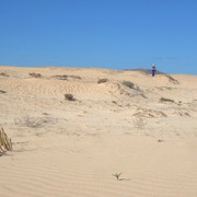 DSCF8557