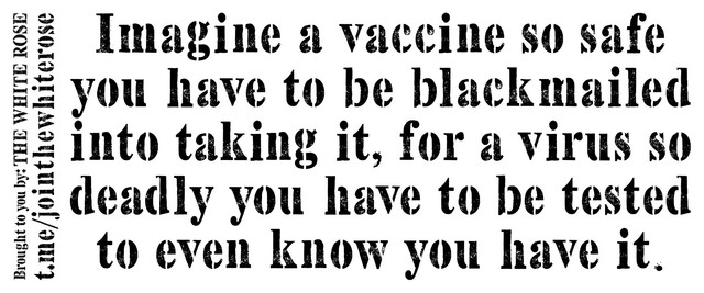 AVaccine-So-Safe