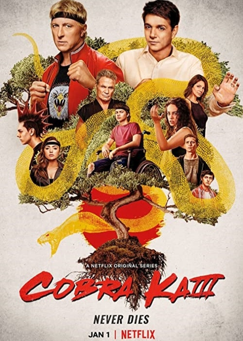 Cobra Kai (2021) (Sezon 3) PL.1080p.NF.WEB-DL.x264.AC3-KiT / Lektor PL