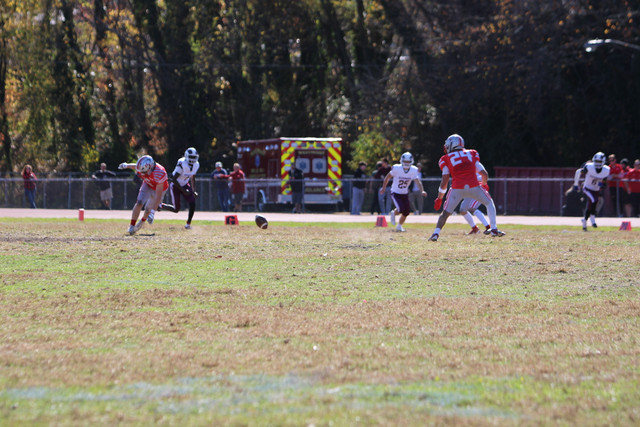 IMG-1266.jpg