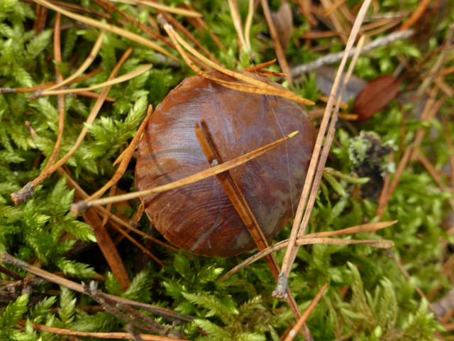 P1130683