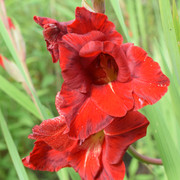 DSC-0701