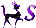s.gif