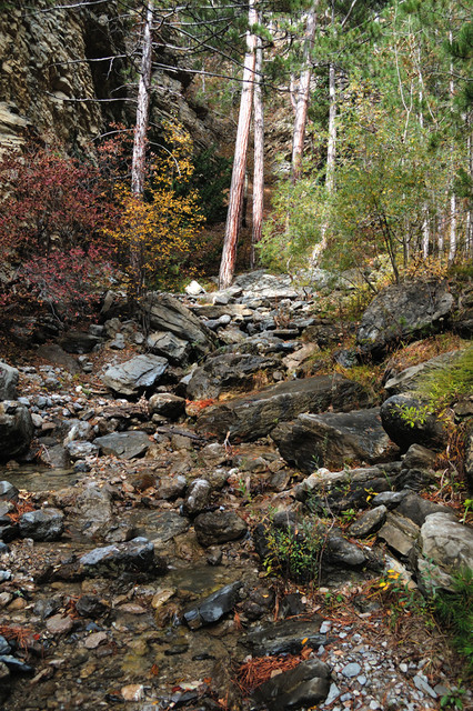 DSC-3627-00150
