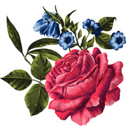 shutterstock 1853765299