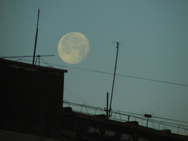 IMG 7358