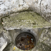 IMG 0385
