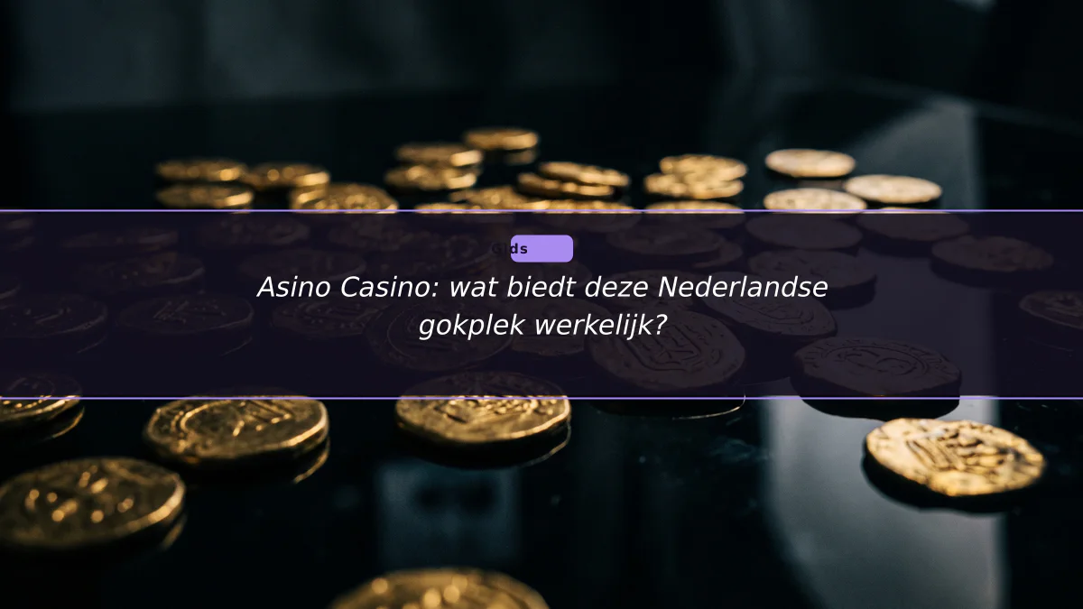 Asino Casino: wat biedt deze Nederlandse gokplek werkelijk?