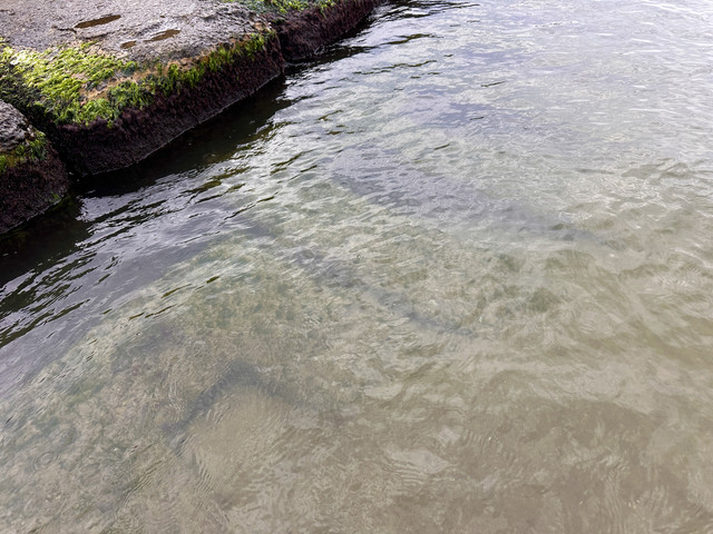 IMG 0060