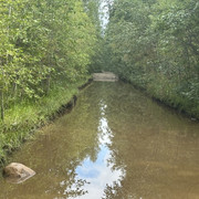 IMG 4541