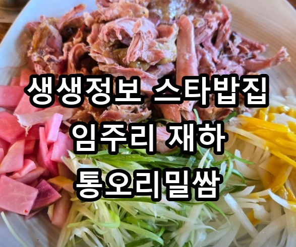 생생정보 스타밥집 임주리 재하 통오리밀쌈 대표 이미지