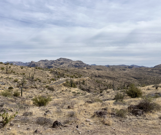 IMG-1419