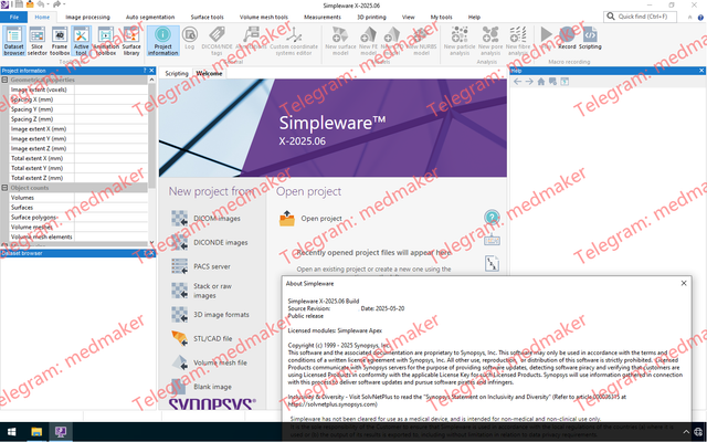 Synopsys Simpleware 2025 06