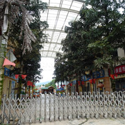 DSC05728