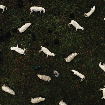 iconsfrom10.png
