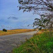 DSCN4978