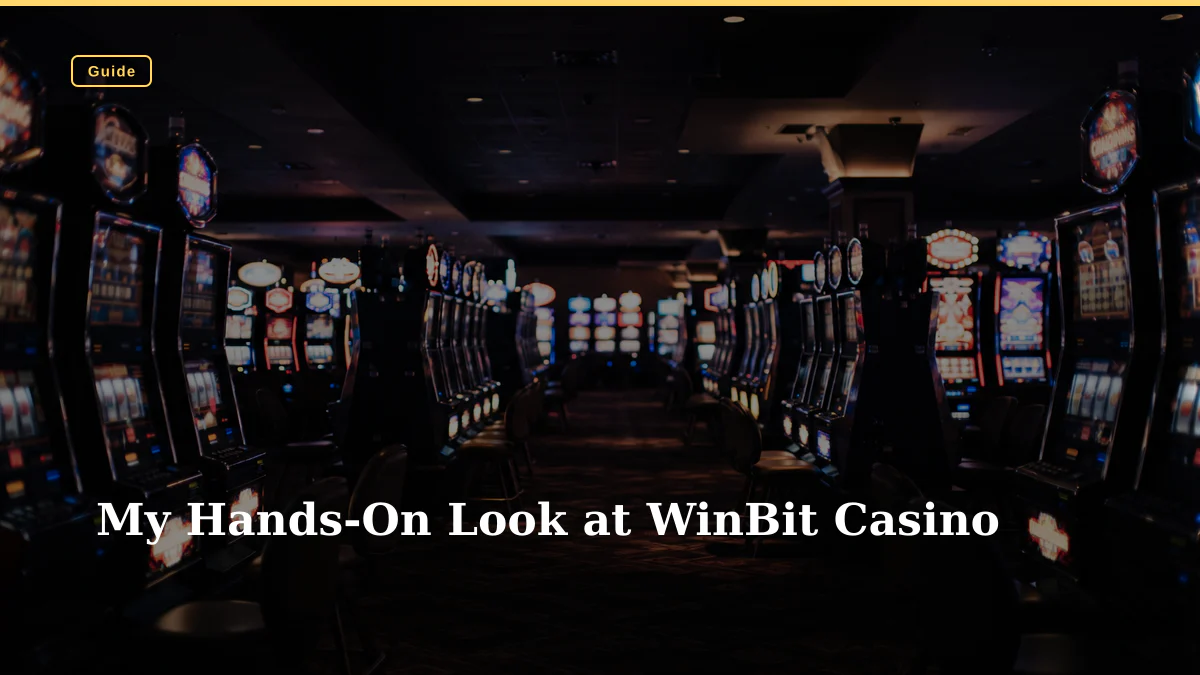 My Hands-On Look at WinBit Casino