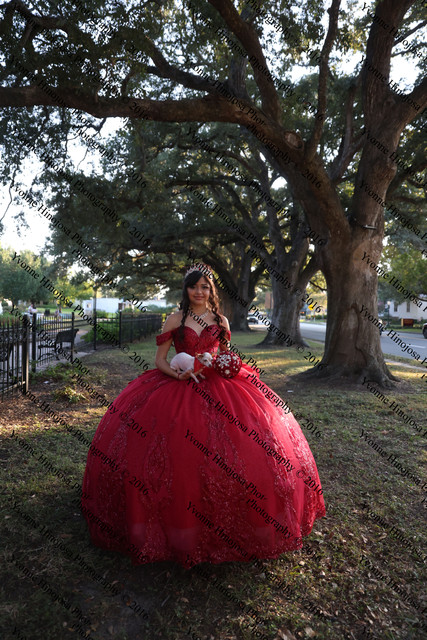 IMG 2299