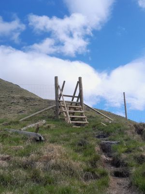 346.jpg