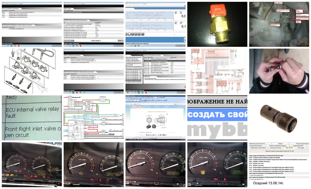 https://i.ibb.co/JwKWSGf8/5499-collage.jpg
