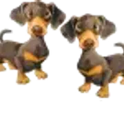 226858x1fzzl2gfm