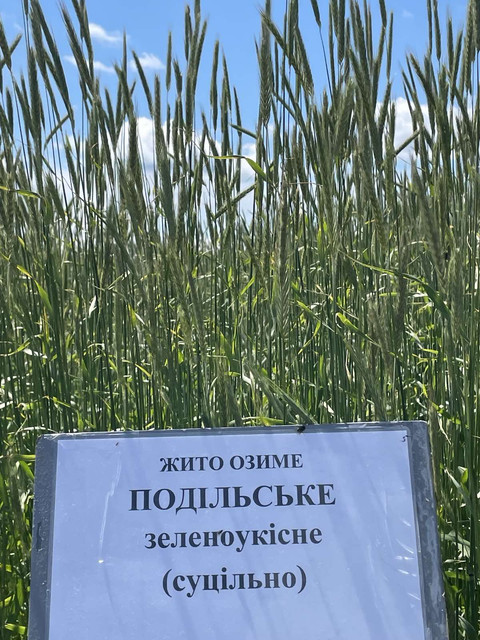 ДП3.jpg