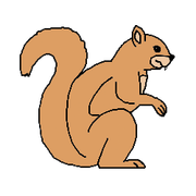 Flying Squirrel