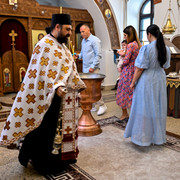 pic 254