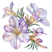 b7f62a0dd90ce72e775ded06fa824b5b.png
