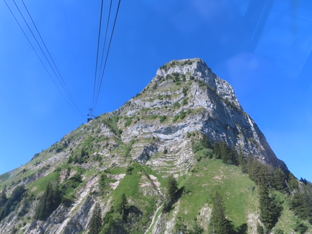 IMG 1717.jpg
